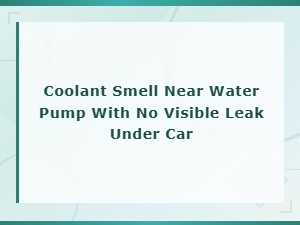 Coolant Smell Near Water Pump with No Visible Leak Under Car
