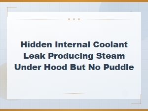 Hidden Internal Coolant Leak Producing Steam Under Hood with No Puddle