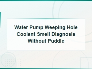 Water Pump Weeping Hole Coolant Smell Diagnosis Without Puddle