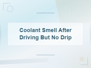Coolant Smell After Driving but No Visible Leak: Internal Drip Points to Check